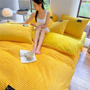 Axyaa Winter Velvet Duvet Cover Set - Solid Color, Thick & Warm, Various Sizes