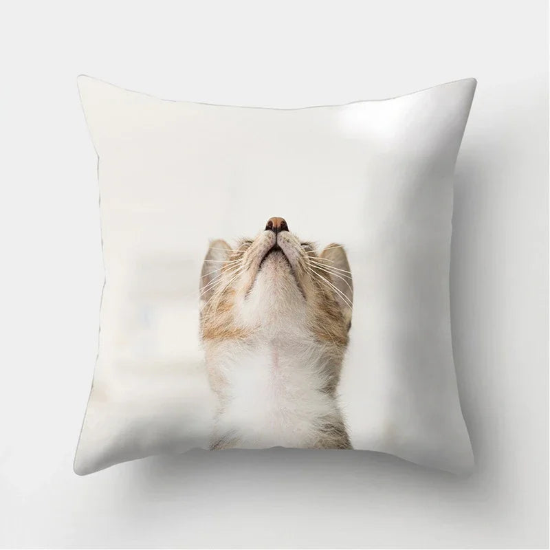 Cute Cat Print Cushion Cover for Sofa Decor by Axyaa