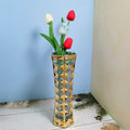 Axyaa Nordic Glass Vase: Light Luxury Hydroponic Utensil for Living Room Flower Arrangement