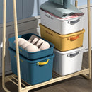 Axyaa Rectangular Storage Box with Lid - Household Closet Organizer