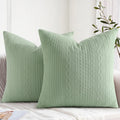 Axyaa Decorative Lumber Throw Pillow Covers - Set of 2