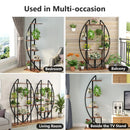 Axyaa 5-Tier Plant Stand Set, Curved Multi-Purpose Display Shelf for Indoor Garden