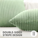 Axyaa Soft Solid Color Flannel Pillowcases - Set of 2