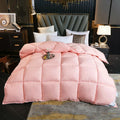 Axyaa Winter Goose Down Duvet Comforter for Single/Double Bed