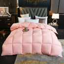 Axyaa Winter Goose Down Duvet Comforter for Single/Double Bed