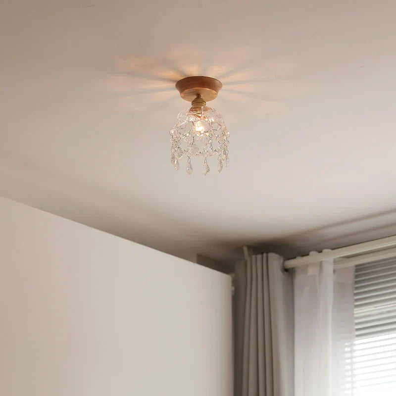 Nordic Modern Axyaa Glass LED Ceiling Lamp for Home Restaurant Balcony Lighting