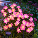 Axya Solar Flower Lights: Brighten Your Outdoor Space