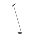 Axyaa Modern Long Arm Floor Lamp for Art Decor, Indoor Lighting and Creative Reading