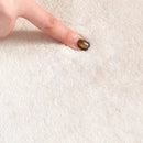 Axyaa Luxury Soft Living Room Carpet: Minimalist Design, Fluffy Comfort, High-End Quality