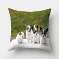 Axyaa Pug Dog Print Cushion Cover Throw Pillow for Sofa Living Room Decor