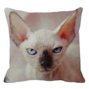 Cute Axyaa Sphinx Cat Cushion Cover 45X45cm - Home Sofa Decoration Pillowcase