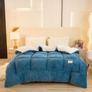 Axyaa Double-Sided Milk Wool Lamb Wool Warm Thick Winter Quilt Core