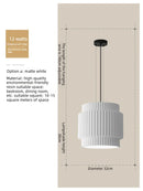 Axyaa Nordic Ceiling Lamp for Home Decor & Lighting in Living Room, Bedroom, Hallway
