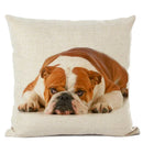 Axyaa French Bulldog Linen Cushion Cover for Cute Dog Lovers