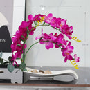 Axyaa Simulated Butterfly Orchid Ceramic Flowerpot Set for Home Decoration