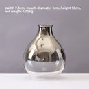 Axyaa Silver Gradient Glass Vase for Jewelry and Plants