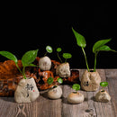Axyaa Zen Stone Ceramic Vase Planter for Living Room Table & Pothos