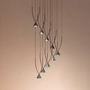 Axyaa Minimalist LED Chandelier: High-End Decor for Coffee Shop, Bedroom, Staircase & Restaurant