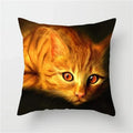 Axyaa Cute Cat Animal Pillowcase for Sofa Decoration in Living Room