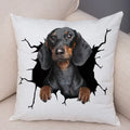Axyaa Cute Dog Print Pillow Case for Home Decor and Comfort