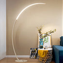 Axyaa RGB LED Fishing Floor Lamp for Bedroom and Living Room