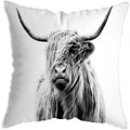 Axyaa Nordic Yak Oxen Highland Cow Cushion Cover for Home Hotel Sofa Bed