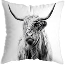 Axyaa Nordic Yak Oxen Highland Cow Cushion Cover for Home Hotel Sofa Bed