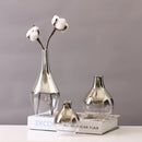 Axyaa Silver Gradient Glass Vase: Creative Terrarium & Jewelry Holder