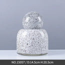 Axyaa Glass Vase with Cover for Flower Arrangements and Hydroponic Display