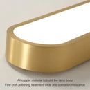 Axyaa Nordic LED Ceiling Lamp for Home Indoor Lighting in Living Room and Bedroom