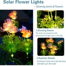 Axya Solar Flower Lights: Outdoor Waterproof LED Landscape Decoration