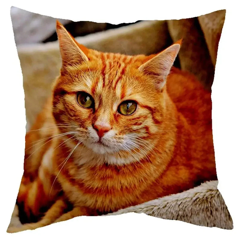 Axyaa Cat Design Sofa Cushion Cover 45x45cm