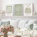 Sage Green Spring Flower Matisse Art Canvas Set by Axyaa