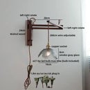 Axyaa Clear Glass LED Wall Sconce with Arm, Black Walnut Wood, Pull Chain - Modern Indoor Lighting
