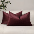 Axyaa Velvet Shell Pattern Throw Pillowcase for Home Decor