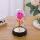 Axyaa Galaxy Rose LED Eternal Flower Lamp Nightlight - Perfect Valentine's Day Wedding Gift