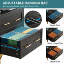 Axyaa 2 Drawer Lateral File Cabinet for Letter/Legal/A4 Size, Modern File Storage
