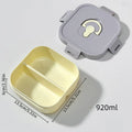 Axyaa Divided Lunch Box: Large Capacity, Sealed Container for Food, Fruit, Salad