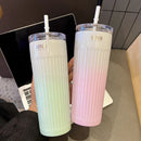 Axyaa Gradient Stainless Steel Thermos Straw Cup 500ML