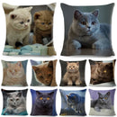 Cute Cat Print Fold Ear Pet Pillowcase for Cozy Home Decor by Axyaa