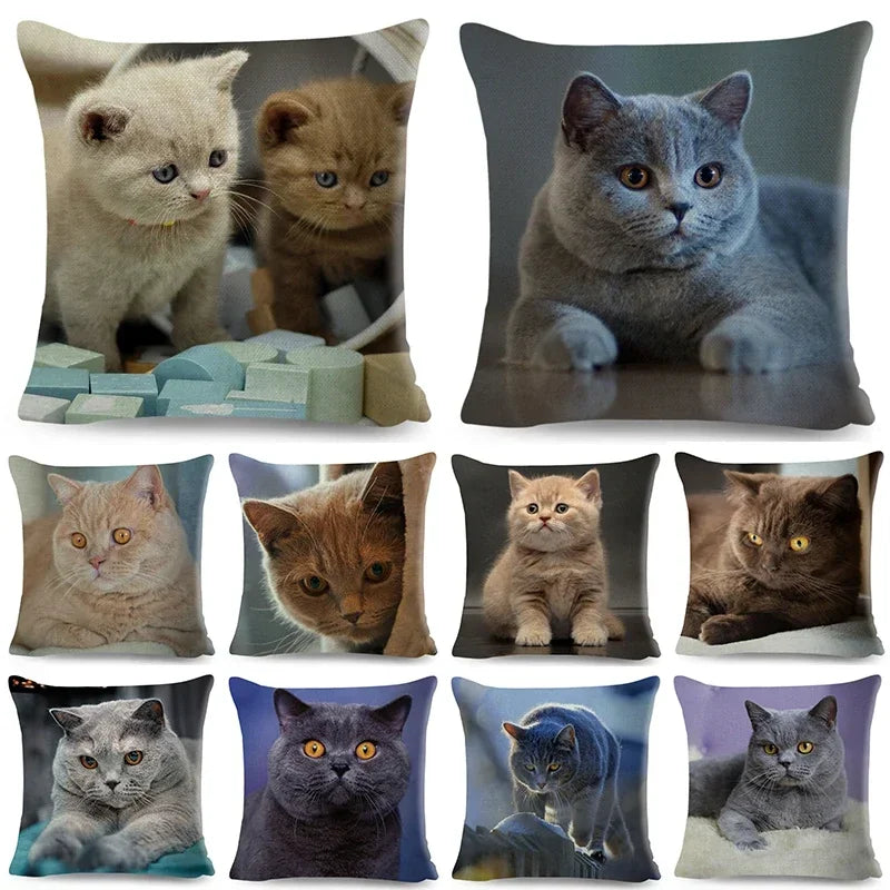 Cute Cat Print Fold Ear Pet Pillowcase for Cozy Home Decor by Axyaa