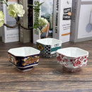 Axyaa Japanese Ceramic Dessert Bowl for Ice Cream, Yogurt, & Shaved Ice