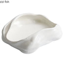 Axya Ceramic Plate Set for Molecular Cuisine and Specialty Dining