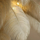 Axyaa Nordic Feather Floor Lights: Modern Luxury Table Lamps for Live Broadcast Atmosphere