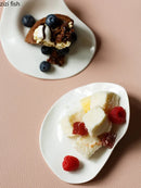 Axyaa White Ceramic Sushi Dessert Plate Set for Molecular Cuisine