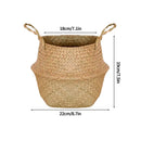 Axyaa Seagrass Rattan Basket: Toy & Flowerpot Organizer, Hanging Storage Bin