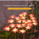 Axya Solar Flower Lights: Brighten Your Outdoor Space