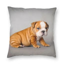 Axyaa Cute English Bulldog Floor Pillowcase for Home Decor