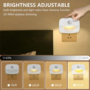 Axyaa Motion Sensor LED Night Light 3 Color Temperature Infrared Induction Emergency Lamp