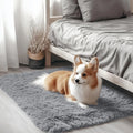 Axyaa Soft Silky Carpet for Living Room Sofa, Kids Bedroom Decor Plush Shaggy Area Rug
